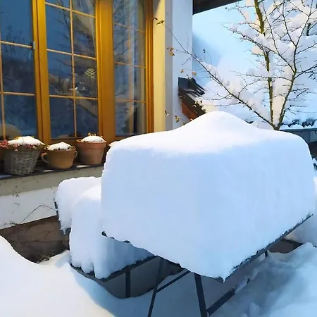 Lägenhet U Pramenu Počátky