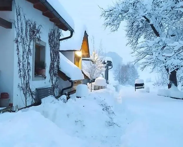 U Pramenu * Počátky